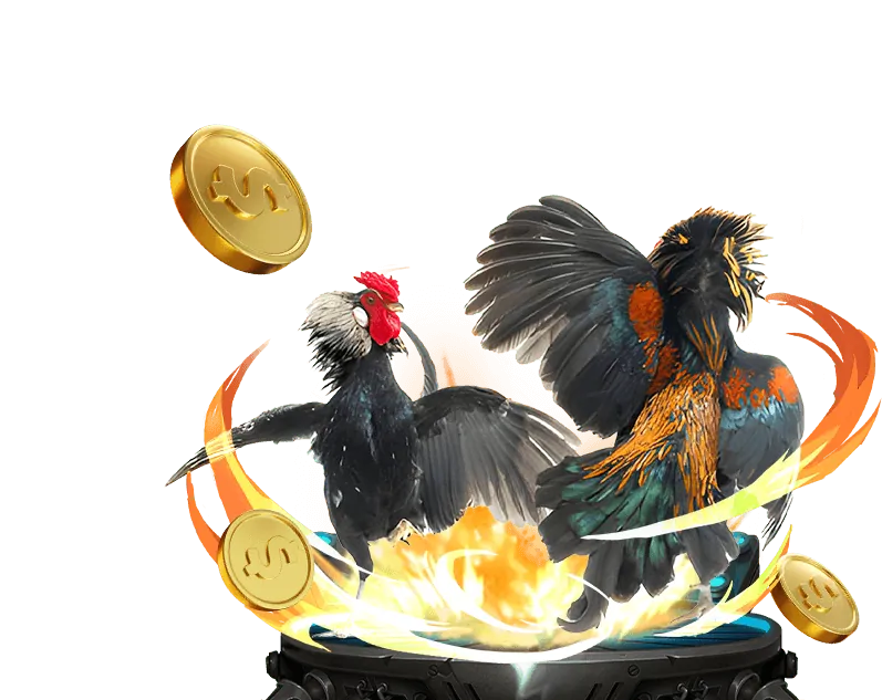 Hướng dẫn chơi máy đánh bạc và bắn cá